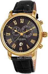 Akribos XXIV Czarny/Skóra Ø44 mm AK841YG