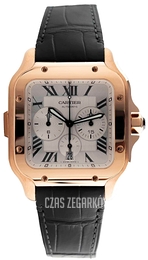 Cartier Santos De Cartier Srebrny/Skóra WGSA0017