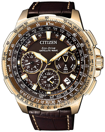 Citizen Promaster Brązowy/Skóra Ø45.4 mm CC9023-13X