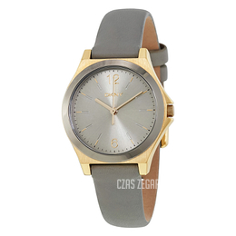 DKNY Dress Szary/Skóra Ø30 mm NY2482