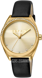 Esprit Szampański/Skóra Ø34 mm ES1L057L0025