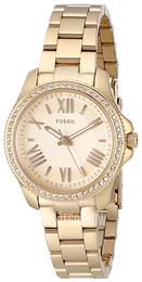 Fossil Żółte złoto/Stal w odcieniu złota Ø29 mm AM4577