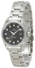 Omega Seamaster Aqua Terra Jewellery Szary/Stal Ø30 mm 231.10.30.61.56.001