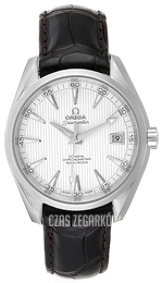 Omega Seamaster Aqua Terra 150m Co-Axial 41.5mm Srebrny/Skóra Ø41.5 mm 231.13.42.21.02.001