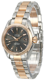 Omega Seamaster Aqua Terra Automatic Szary/18 karatowe różowe złoto Ø30 mm 231.20.30.20.06.001