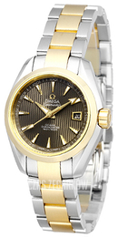 Omega Seamaster Aqua Terra Automatic Szary/18 karatowe żółte złoto Ø30 mm 231.20.30.20.06.002