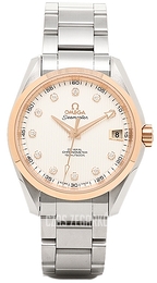 Omega Seamaster Aqua Terra 150m Co-Axial 38.5mm Srebrny/Stal Ø38.5 mm 231.20.39.21.52.003