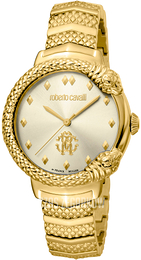 Roberto Cavalli by Franck Muller Dress Szampański/Stal w odcieniu złota Ø34 mm RV1L113M0051