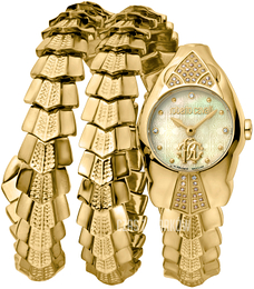 Roberto Cavalli by Franck Muller Aion Time Szampański/Stal w odcieniu złota Ø23 mm RV2L061M0011