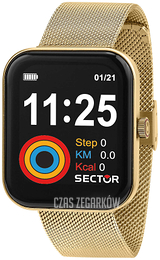 Sector S-03 Ekran LCD/Stal w odcieniu złota R3253282003