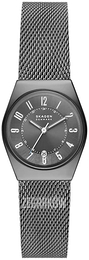 Skagen Grenen Lille Szary/Stal Ø26 mm SKW3039