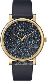Timex Niebieski/Skóra Ø38 mm TW2R98100