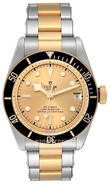 Tudor Black Bay Żółte złoto/Stal w odcieniu złota Ø41 mm M79733N-0004
