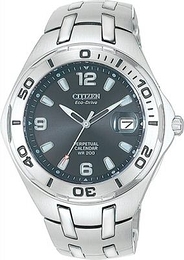 Citizen Perpetual Calendar Czarny/Stal BL1020-55H